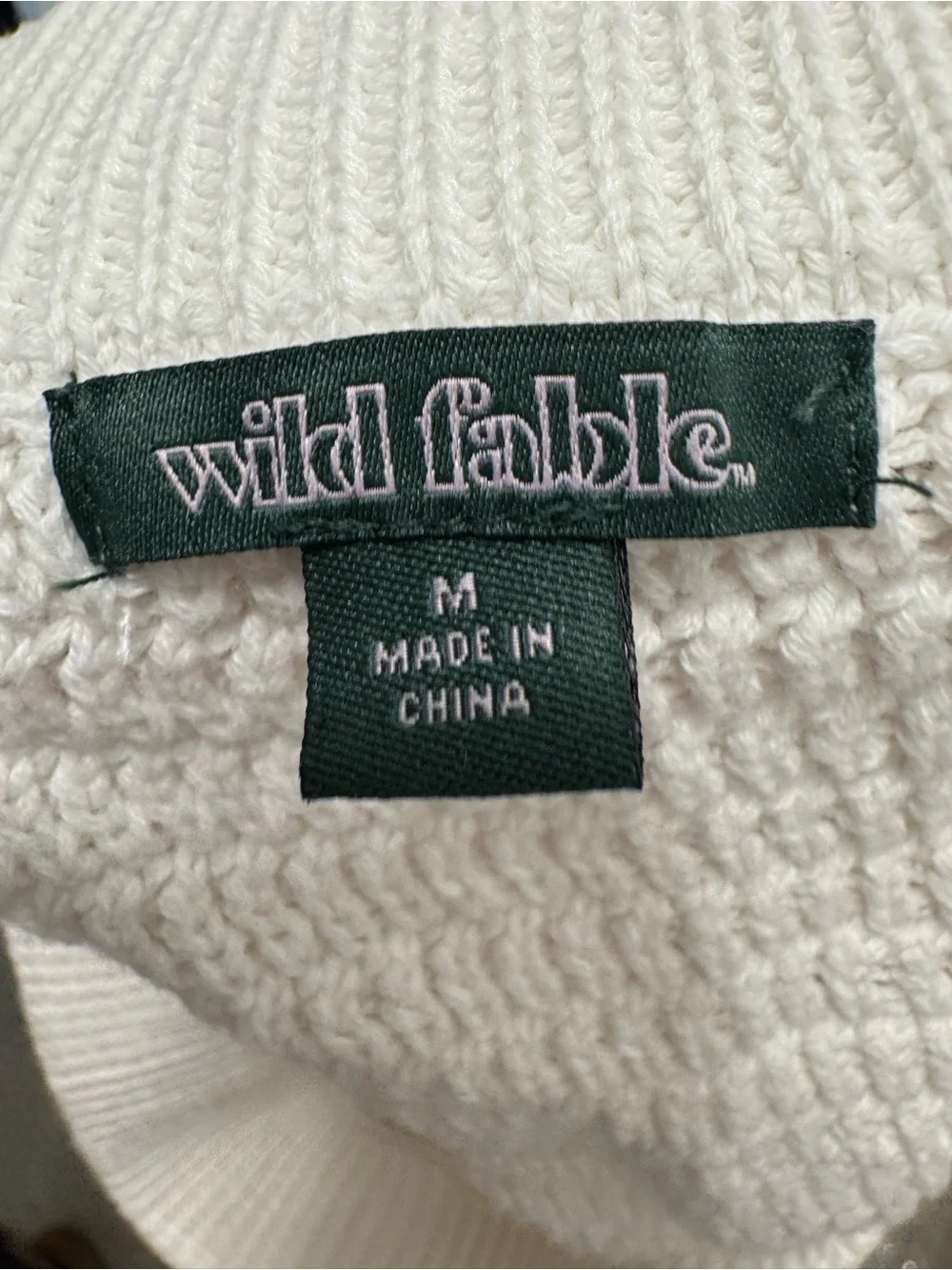 wild fable White Crocheted Two-Piece Skirt Set with Red Floral Embroidery